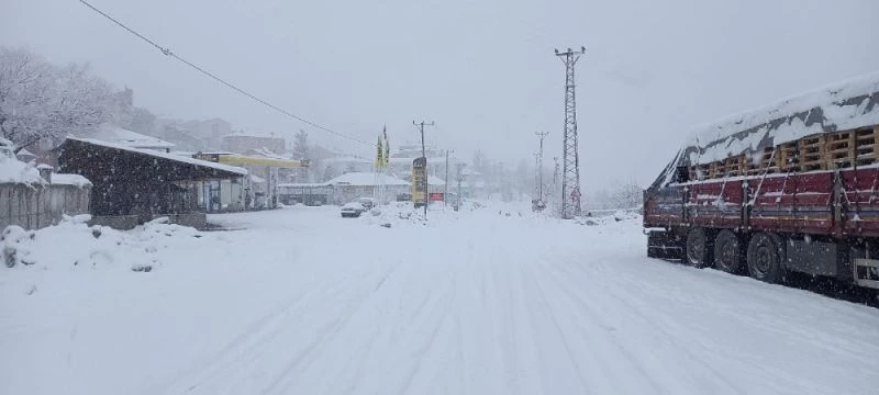 Tunceli’de kar bastırdı, 160 köy yolu kapandı

