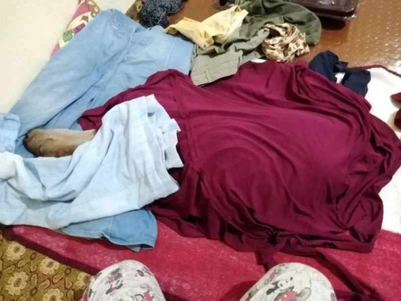 Şırnaklı çiftçi, yeni doğan buzağıyı evine alıp bebek gibi beslemeye başladı
