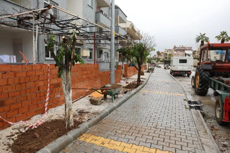 Marmaris’te cadde yenilemesi sırasında kaldırılan ağaçlar yeniden toprakla buluştu

