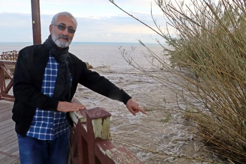 Kedileri kovalayan Alman kurdu köpek Düden Şelalesi’nden denize düşüp telef oldu
