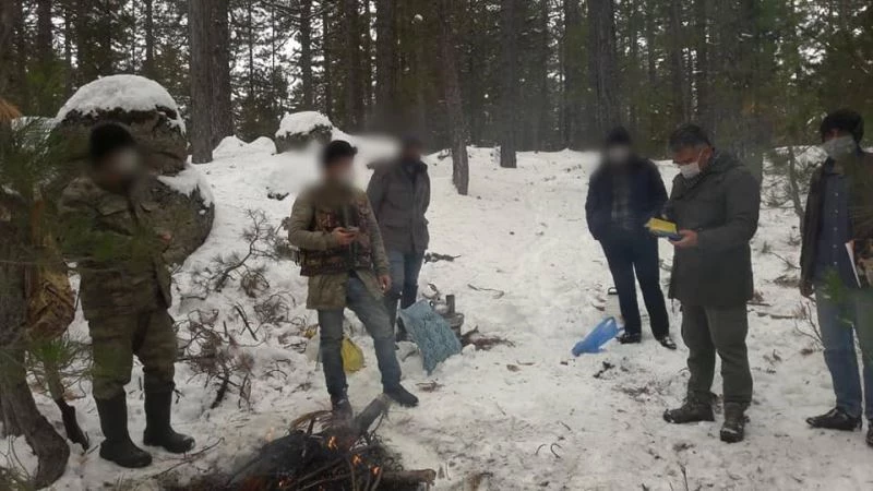 Ardıç kuşunu avlayanlara 2 bin 500 lira ceza
