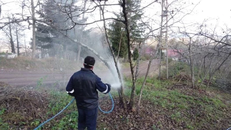 Ordu’da fındık bahçeleri büyükşehire emanet
