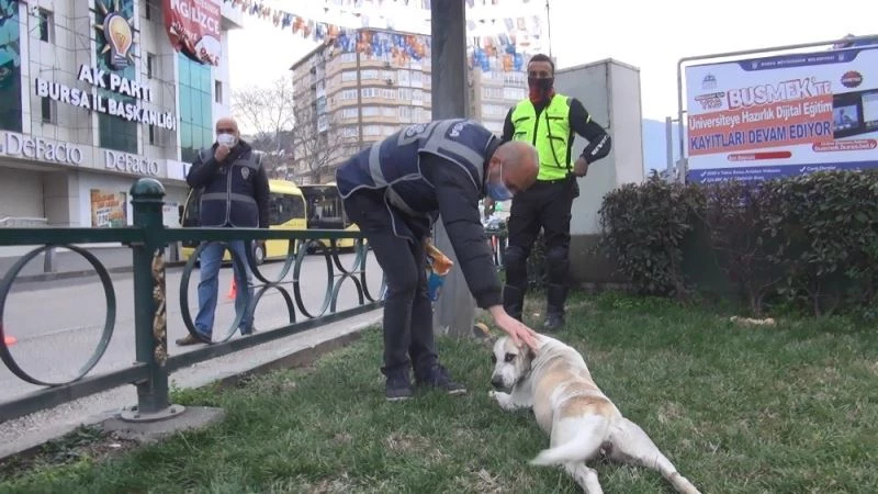 Polisin şefkatli elleri
