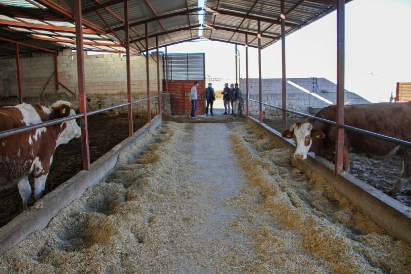 Talaslı üreticilere uzaktan eğitim, yerinde soru-cevap
