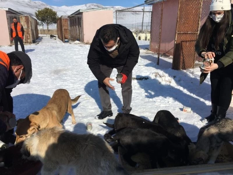Belediye ve gönüllüler elele verdi
