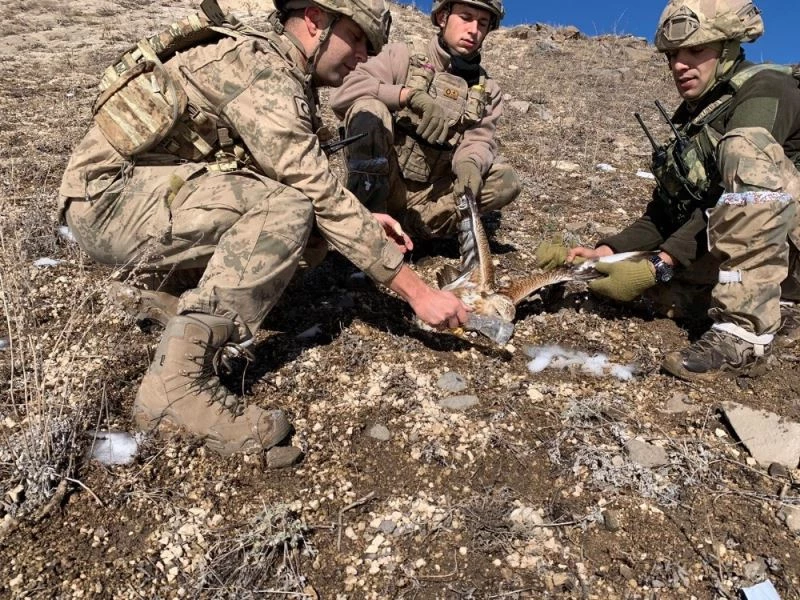 Jandarma komandolardan yaralı şahine şefkat eli
