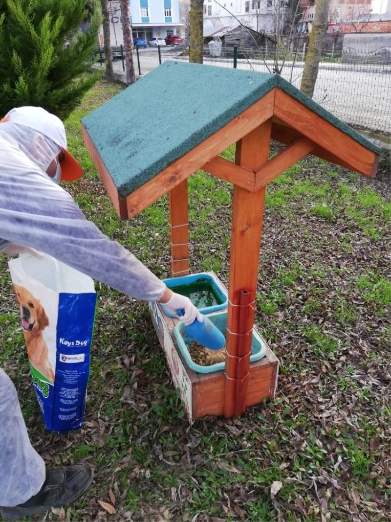 Topaloğlu: “Hayvanları korumak görevimiz