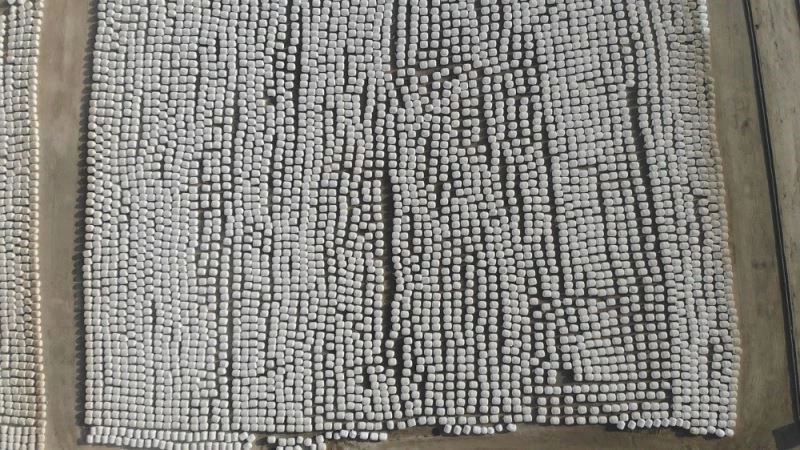 Dev kar taneleri gibi, görenleri şaşırtıyor
