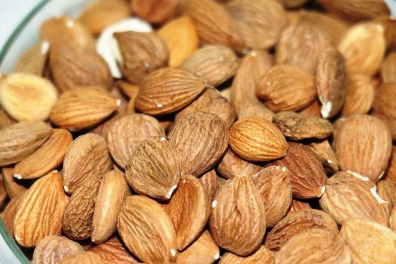 Kayısının çekirdeği da şifa deposu
