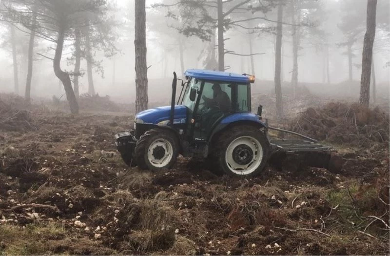 Bolu Aladağ’da doğal gençleştirme çalışmaları tamamlandı

