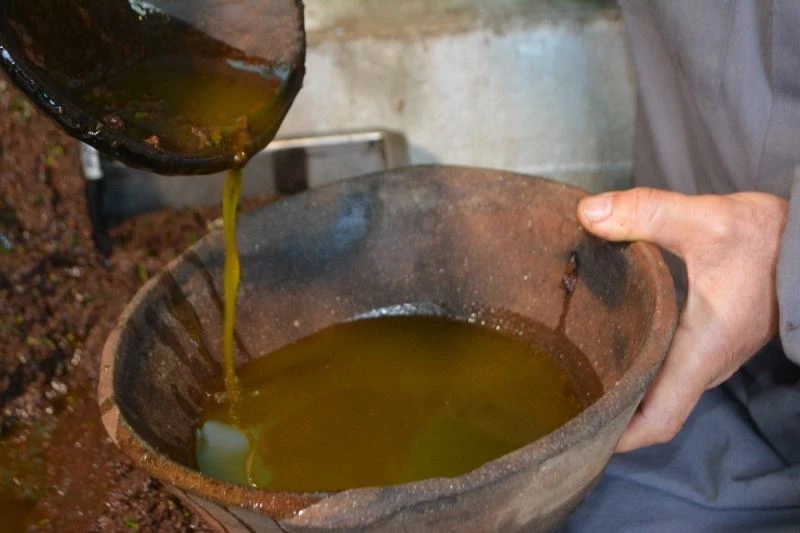 Doğanın iksiri zeytin sütü
