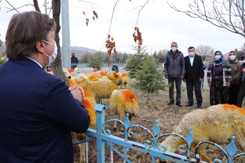 Kazada koyunları telef olan Şerife anne koyunlarına kavuştu
