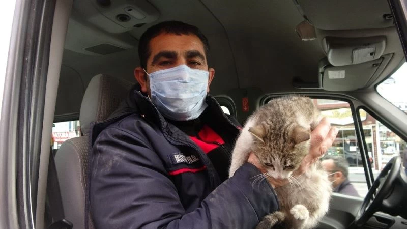 Hayvansever vatandaş dayanamadı, yaklaşık 2 saat çabaladı
