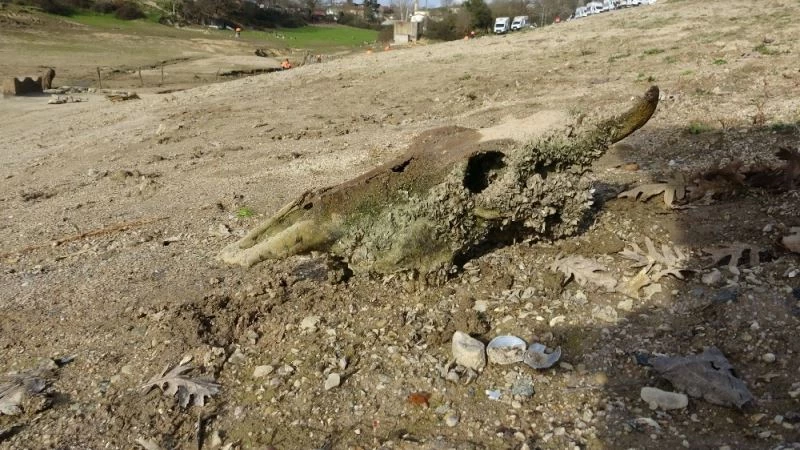 Barajdaki sular çekildi, sudan çıkanları görenler şaşkına döndü
