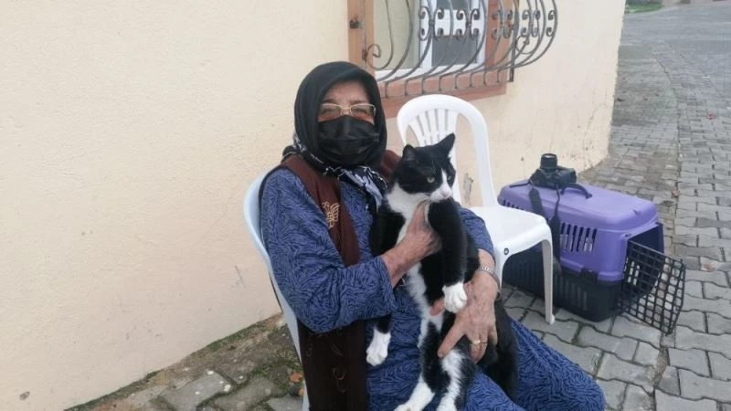Kedisini severken sertliği hissetti, soluğu jandarmada aldı
