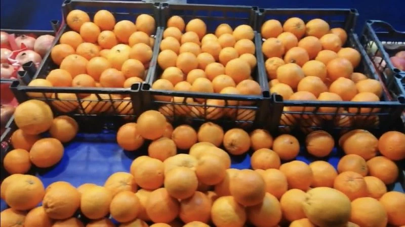 (Özel) İstanbul’da esnafı şaşırtan mandalina ve ıspanak hırsızlığı kamerada
