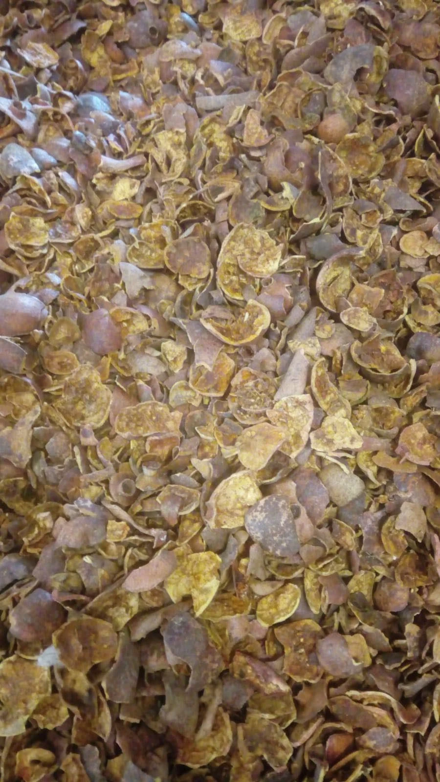 NAR KABUĞU KURUSU FAYDALARI