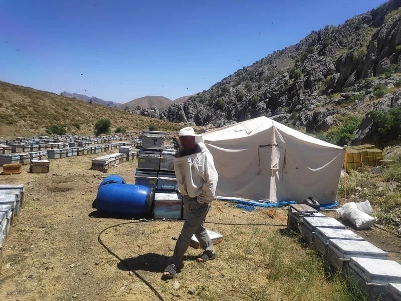 Arıcılık ve İpekböcekçiliğine destek
