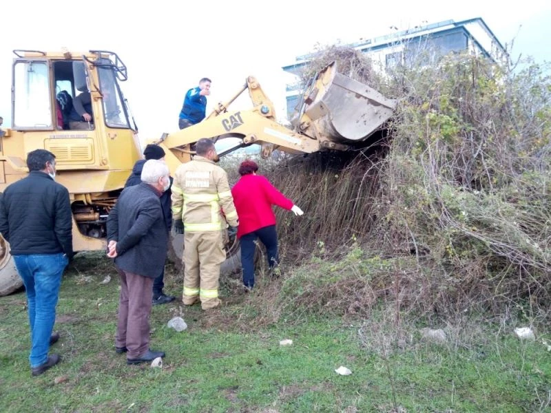 Çalılar arasından çıkamayan yavru köpeği itfaiye ekipleri dozerle çıkardı
