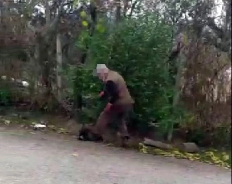 Yavru köpekleri annelerinden ayıran belediye görevlilerine uyaran gence ilginç tepki
