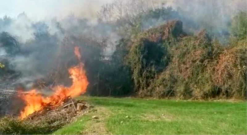 OSMANİYE’DE FUNDALIK ALANDA BAŞLAYAN YANGIN ORMANA SIÇRAMADAN SÖNDÜRÜLDÜ