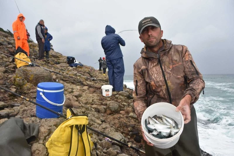 Hamsilos balıkçıların da gözdesi
