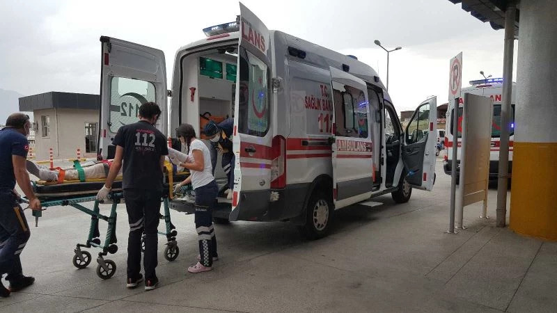 Ceviz hasadının başlamasıyla birlikte ağaçtan düşme vakaları arttı
