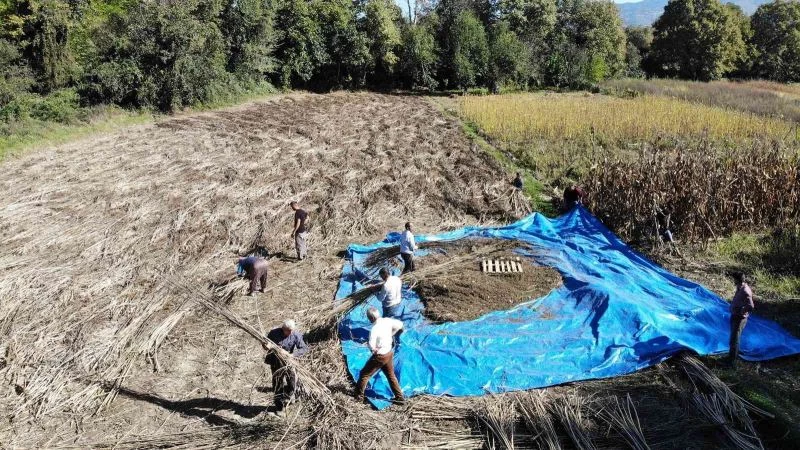 100 metrekarelik dükkanda işlenen kenevirler yurt dışına ihraç ediliyor
