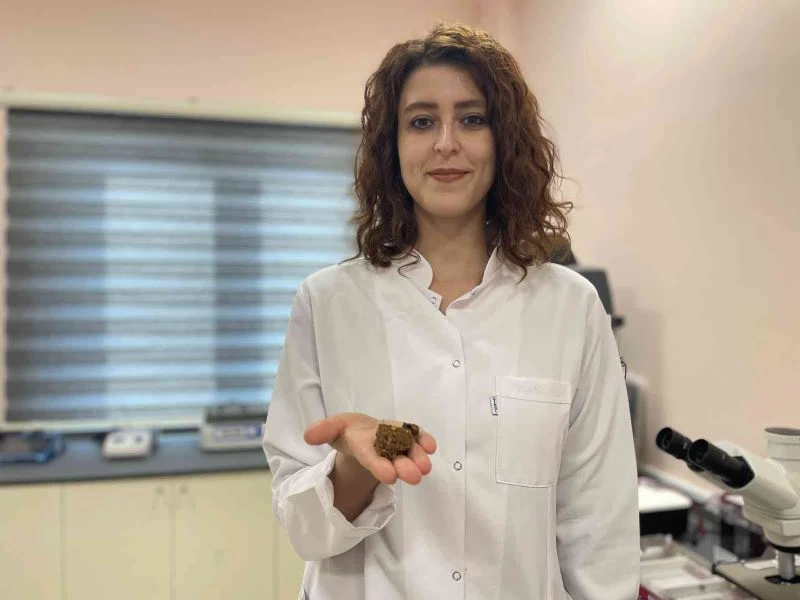 Yüzyıllardır şifa veren propolis akademik ellerde zenginleşiyor
