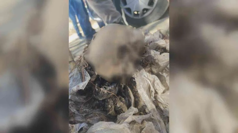 Cesetleri 9 yıl sonra toprak altında gömülü halde bulunan iki kardeşin yasak aşk cinayetine kurban gittiği öğrenildi
