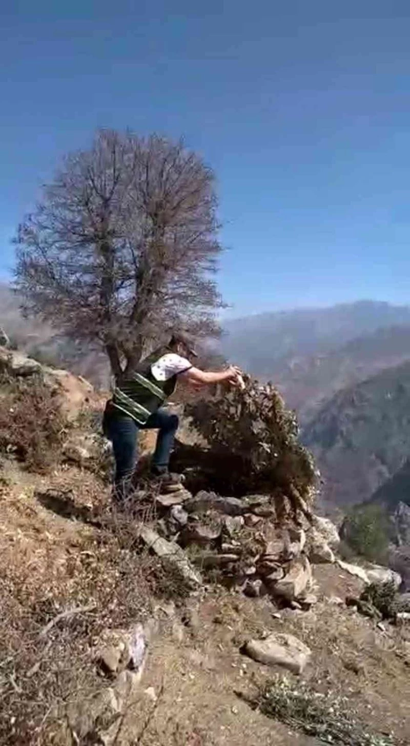 Siirt’te kaçak avcıların kurduğu tuzaklar yıkıldı
