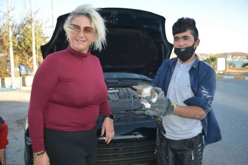 Lüks cipte sıkışan kediyi 1 saatte kurtardılar
