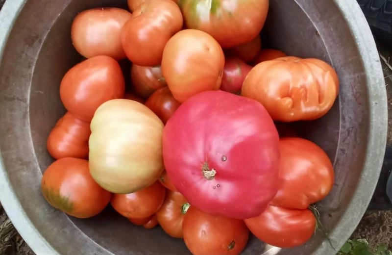 Kabartma şeklindeki Allah yazısı şaşırttı
