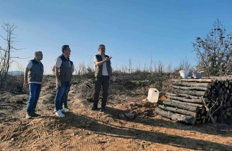 Yanan alanlar fidan dikimine hazırlanıyor
