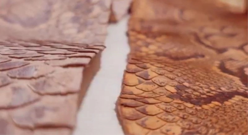 Kaçak yollarla ülkeye sokulan 31 yılan derisi ele geçirildi
