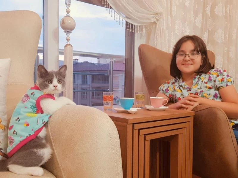 (Özel) Doğumu geciken kediye sezaryen yapıldı
