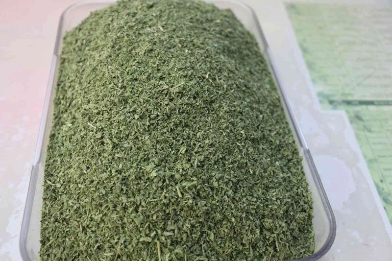 Kokusuyla yemeklere lezzet katan pıltan otuna ilgi
