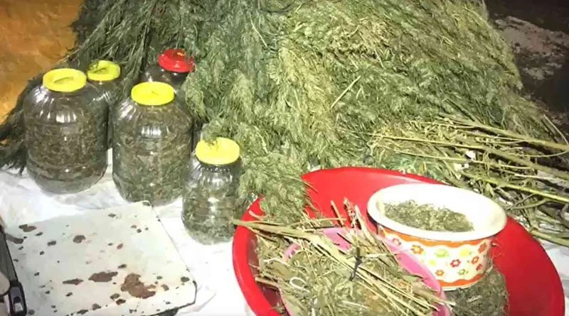 Samanlığa gizlenmiş uyuşturucu zulası böyle ortaya çıktı
