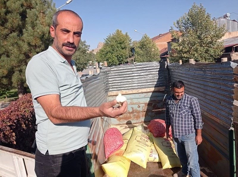 Elazığ’da çiftçilere yüzde 75 hibeli sarımsak tohumu dağıtıldı
