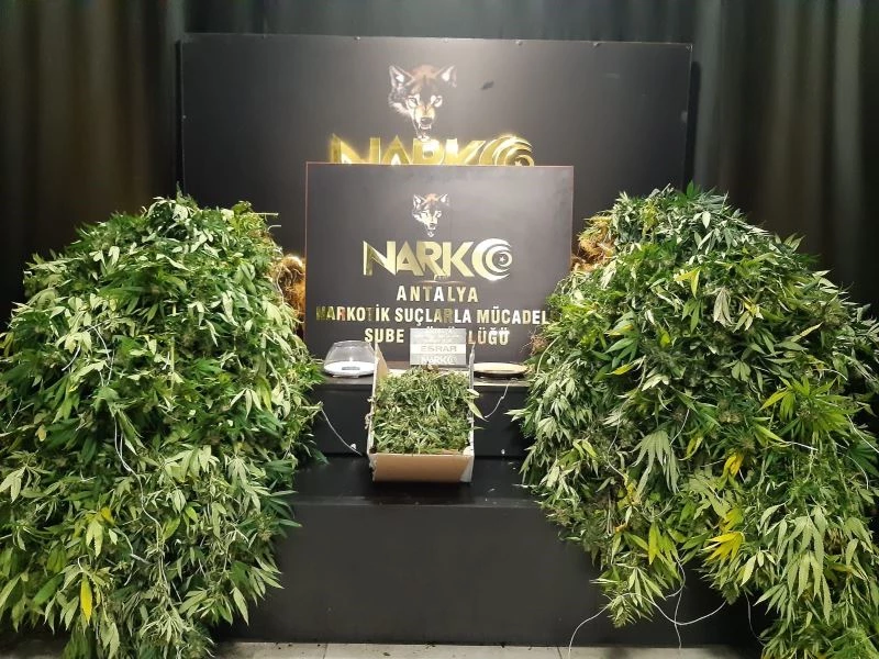 Polisten uyuşturucu serası haline getirilen kiralık villaya baskın
