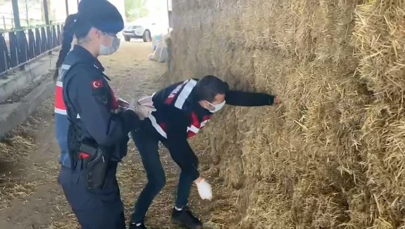 Saman altından 139 bin lira çıktı
