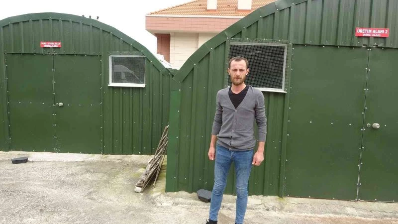 Bu tesiste 10 milyon solucan çalışıyor
