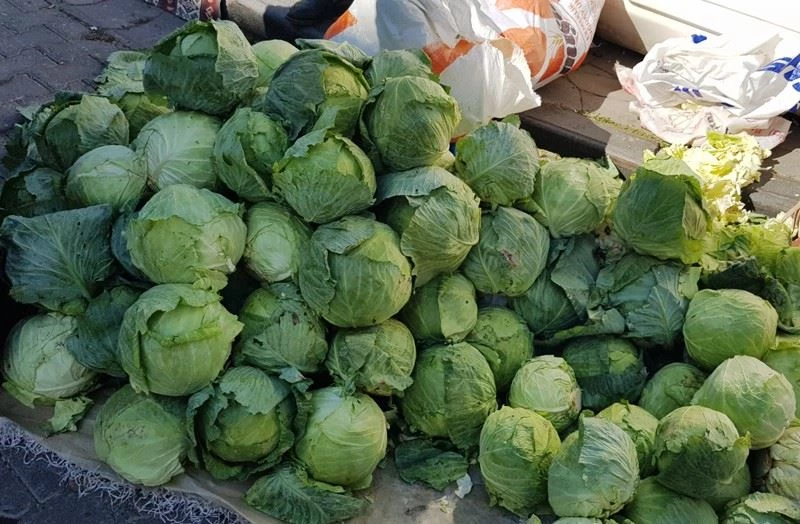 Üreticiler Alucra Keleminin tescillenmesini istiyor
