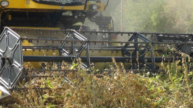 Çukurova’da ikinci ürün mısırın yerini soya aldı
