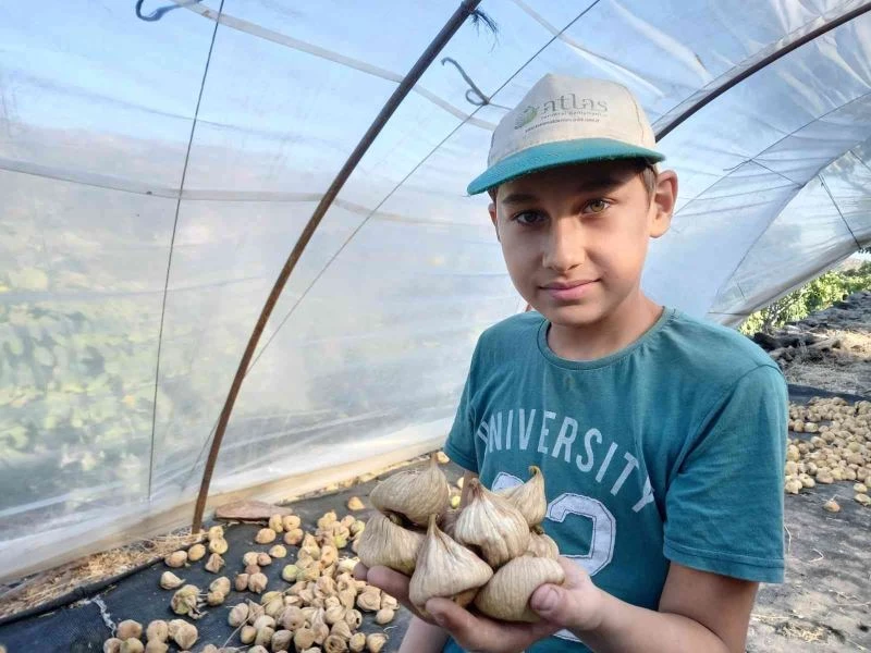 Dünya kuru incirin müptelası oluyor
