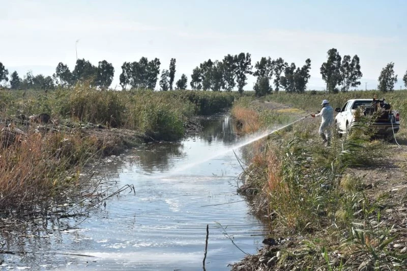 Edremit’te 4 mevsim sinekle mücadele
