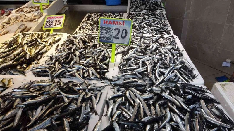 Hamsinin fiyatı bir günde ikiye katlandı

