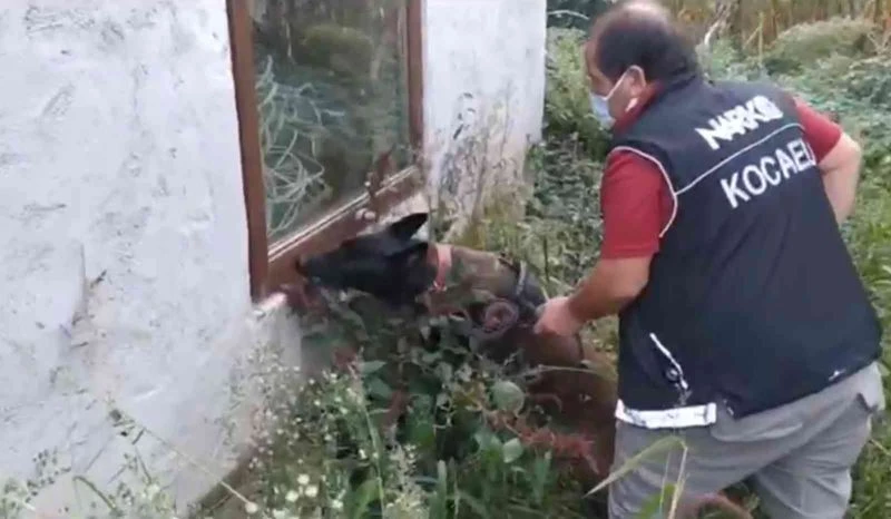 Kavanozlara turşu değil uyuşturucu doldurdular
