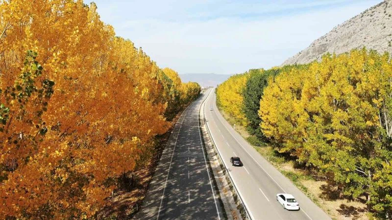 Bu manzara hız kesiyor

