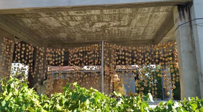 Ham olarak çaldığı Trabzon hurmalarını satmak yerine evine götürüp işledi
